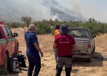 Hani ilçesi kırsalında orman yangını