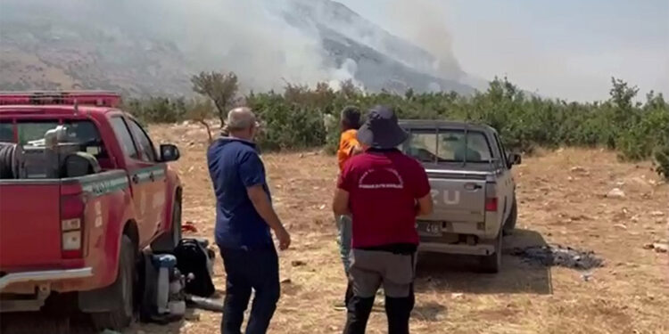 Hani ilçesi kırsalında orman yangını