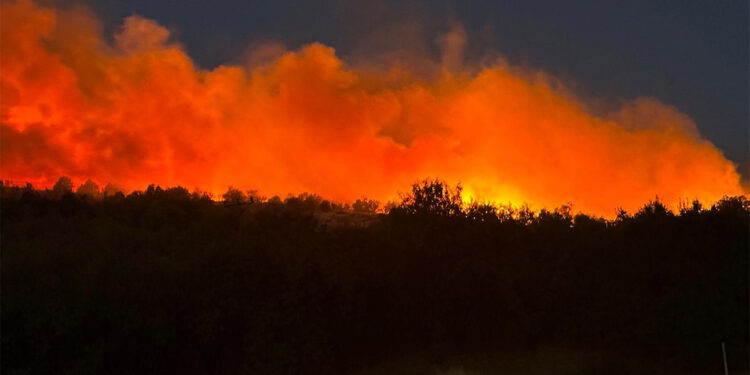 Diyarbakır Ergani'de orman yangını