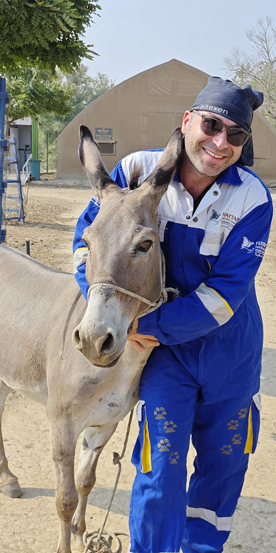 Diyarbakır'da şiddet gören eşek Emekli Hayvanlar Çiftliği'nde