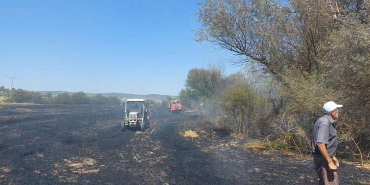 Eskişehir'de anız yangını ormana sıçradı