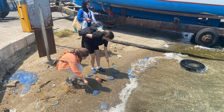 Foça sahillerinde denizanası yoğunluğundan plajlar boş kaldı