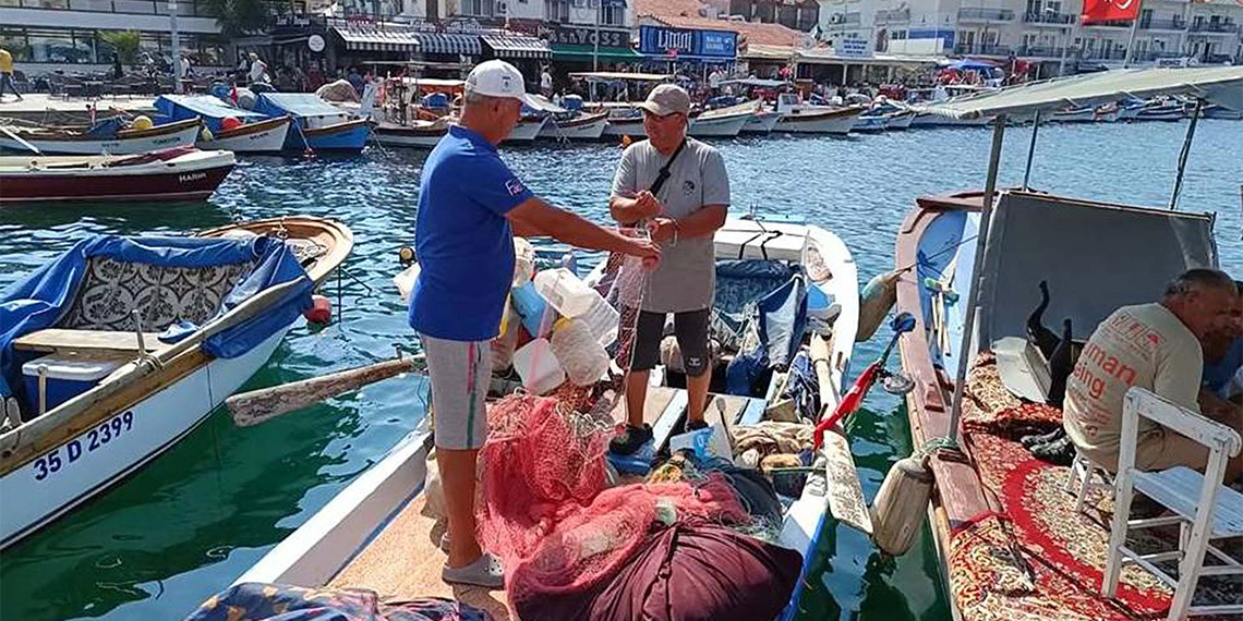 Foça sahillerinde denizanası istilası