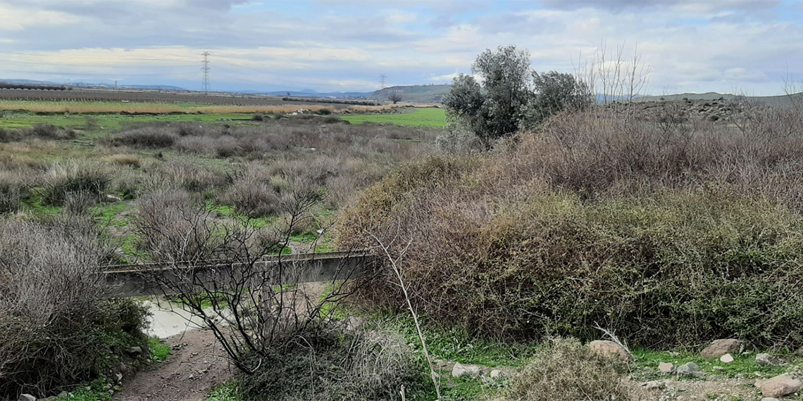 Birleşmiş Milletler Gıda ve Tarım Örgütü (FAO) ile Tarım ve Orman Bakanlığı iş birliğinde, 'Gediz Havzasında Sürdürülebilir ve Entegre Su Kaynakları Yönetimi Projesi' başlatıldı.