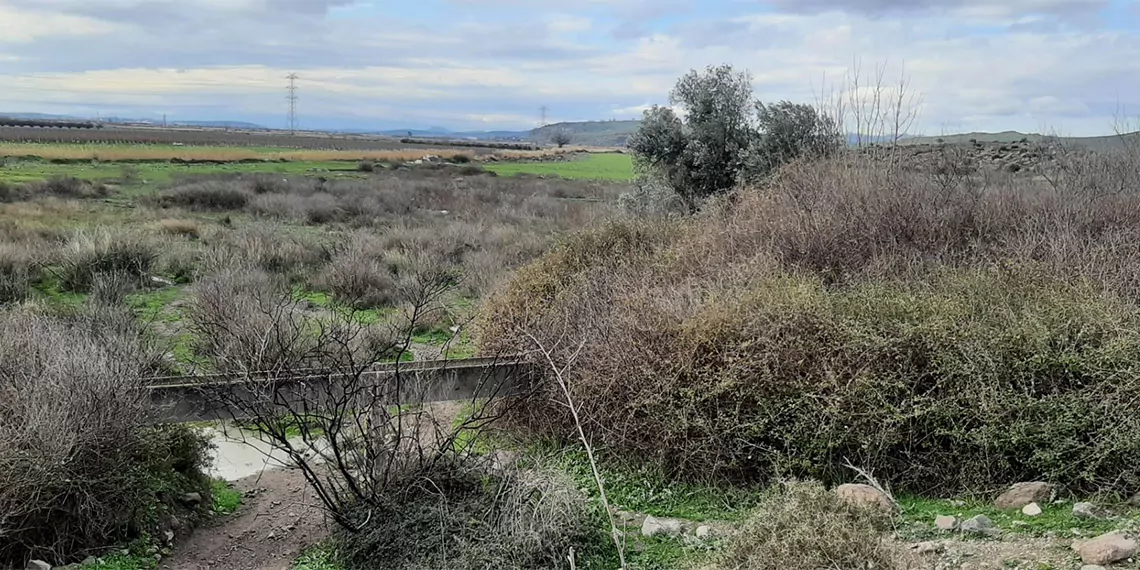 Birleşmiş milletler gıda ve tarım örgütü (fao) ile tarım ve orman bakanlığı iş birliğinde, 'gediz havzasında sürdürülebilir ve entegre su kaynakları yönetimi projesi' başlatıldı.