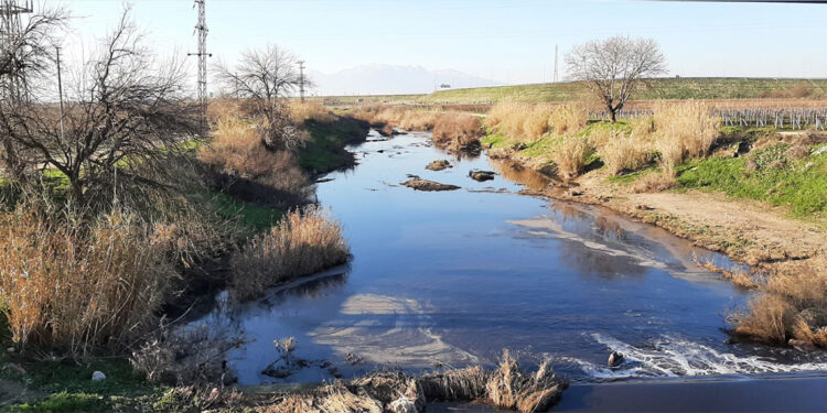 Gediz Havzasında karasal korunan alan oluşturulacak