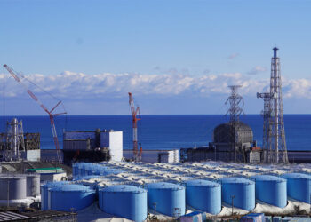 Fukushima suyunun okyanusa bırakılmasının etkileri bilinmiyor