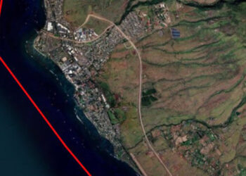 Hawai'deki orman yangını felaketinde ölü sayısı 111'e yükseldi