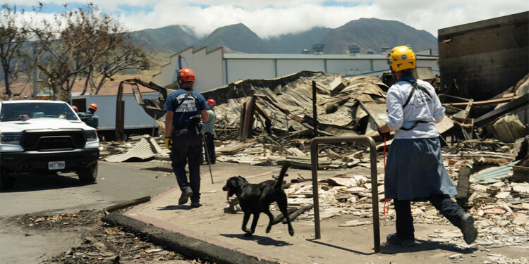 Havai'deki orman yangınlarında can kaybı 89'a yükseldi