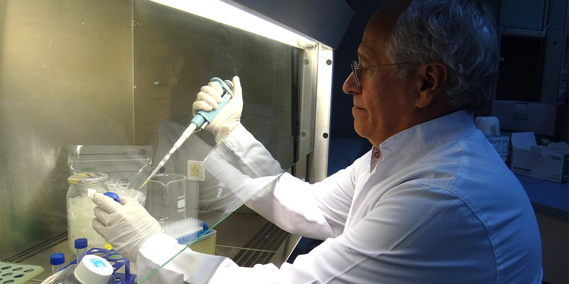 İngiltere'de 1 yılı aşkın sürede laboratuvar çalışmalarını tamamlayan Prof. Dr. Hüseyin Yılmaz, göçmen kuşlarda virüs taşıma ve insana bulaştırma riski olabileceğini kaydetti.