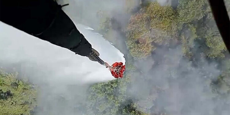 İzmir Menderes'te orman yangını