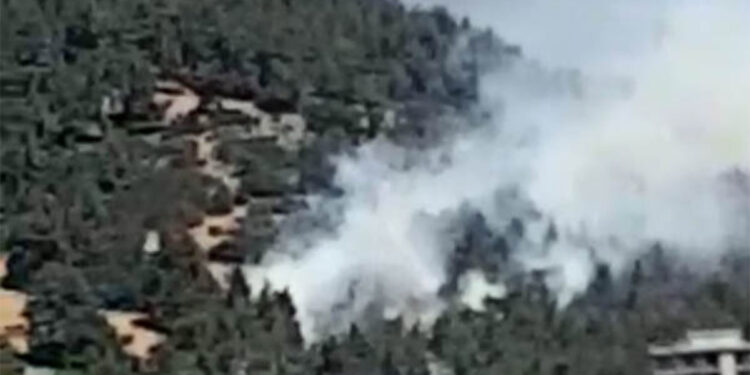 Kahramanmaraş Onikişubat'ta orman yangını