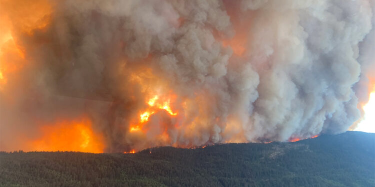 Kanada'da orman yangınları nedeniyle olağanüstü hal ilan edildi