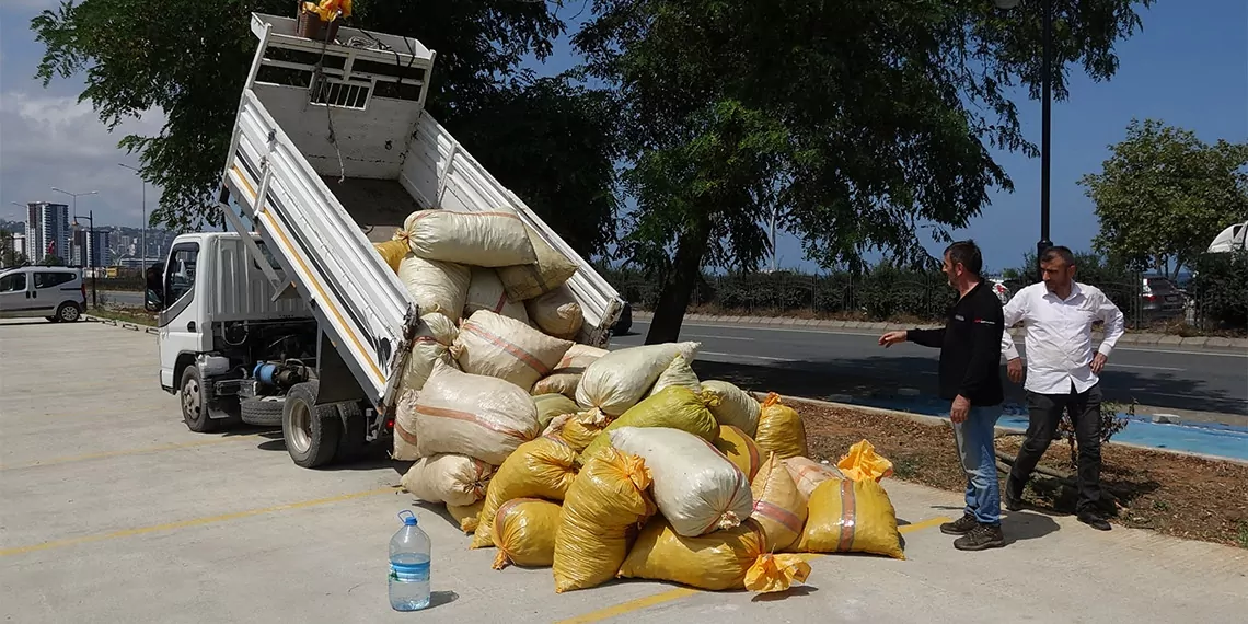 Fındık kurutma mesaisi başladı