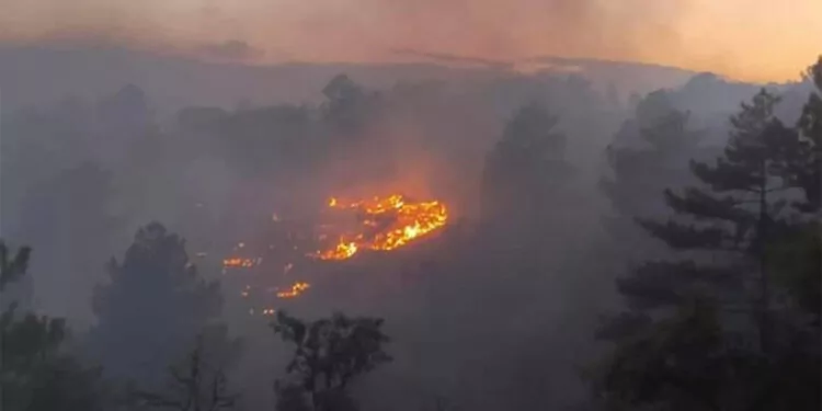 Kırşehir'de ağaçlık alandaki yangın askeri bölgeye sıçradı