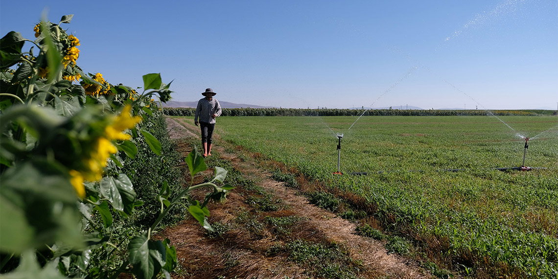 'Türkiye'nin tahıl ambarı' olarak bilinen, 2 milyon 200 bin hektarlık ekim alanına sahip Konya Ovası'nda su kuyularının derinlikleri 400 ile 450 metreye ulaştı.