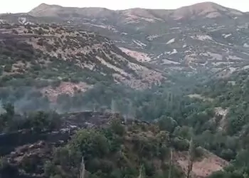 Malatya'da dağlık alandaki yangın kontrol altına alındı