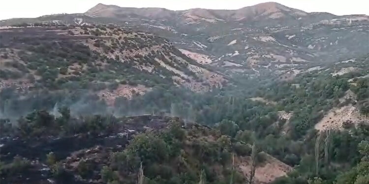 Malatya'da dağlık alandaki yangın kontrol altına alındı
