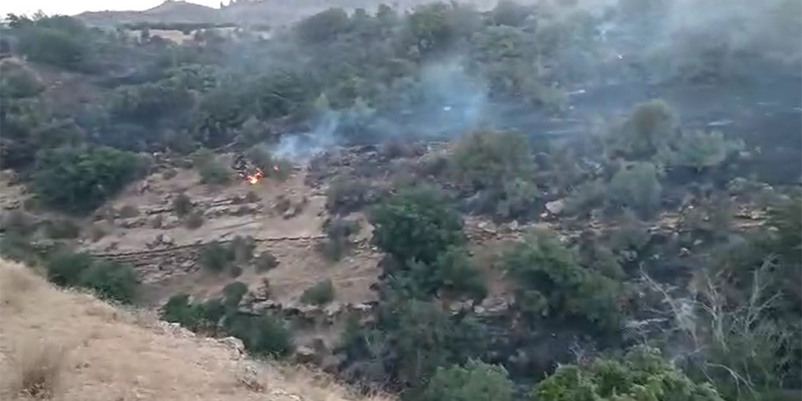 Malatya'da dağlık alandaki yangın kontrol altına alındı