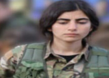 'Vejin Jiyan' kod adlı terörist etkisiz hale getirildi
