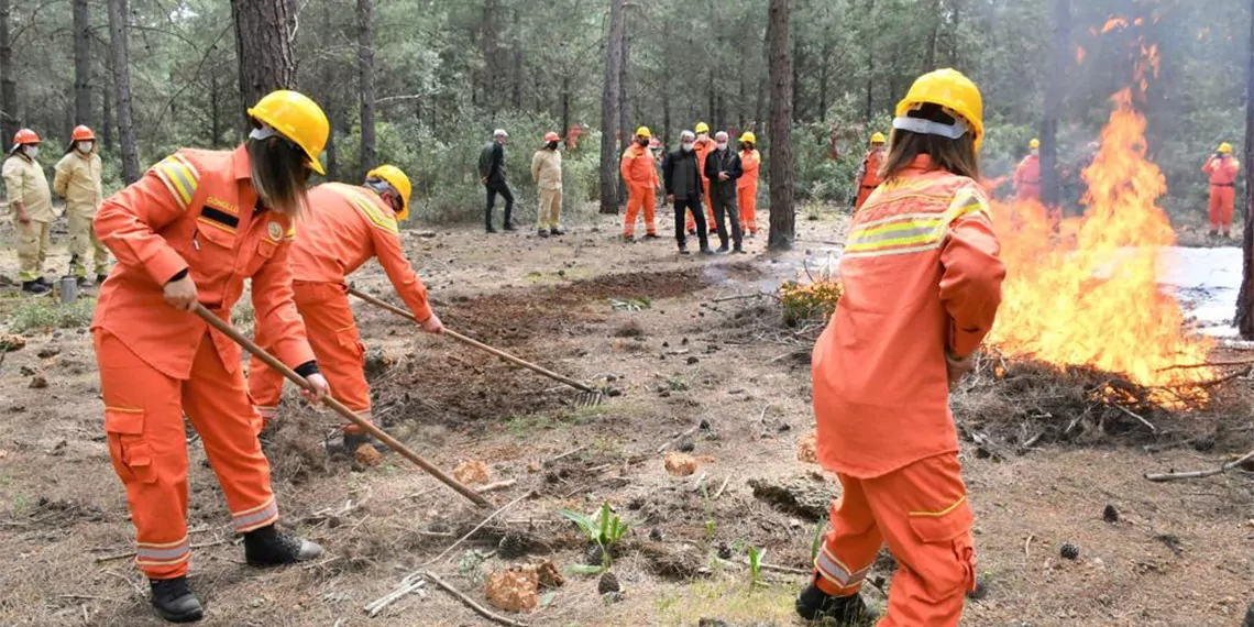 Tarım ve orman bakanlığı, orman genel müdürlüğü'nün (ogm) orman yangınlarıyla mücadeleyi güçlendirmek amacıyla başlattığı gönüllü uygulamasında 118 bin üye sayısına ulaşıldığını açıkladı.