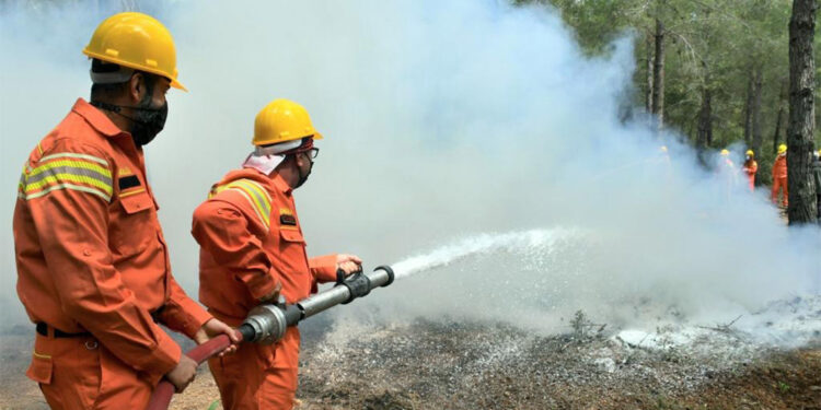 Orman yangınlarıyla mücadelede gönüllü sayısı 118 bine ulaştı