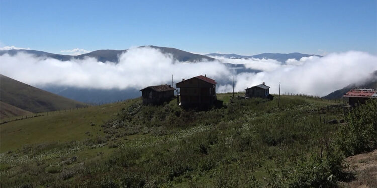Sıcak aylarda Karadeniz'e hücum olacak