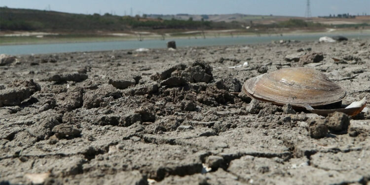 Sazlıdere Barajı kurudu; Deniz kabukları gün yüzüne çıktı