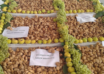 Sezonun ilk kuru incirinin kilosu 330 TL'den satıldı