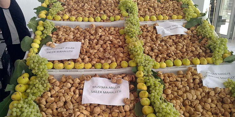 Sezonun ilk kuru incirinin kilosu 330 TL'den satıldı
