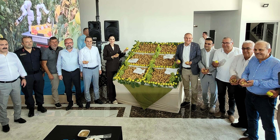 Sezonun ilk kuru incirinin kilosu 330 TL'den satıldı