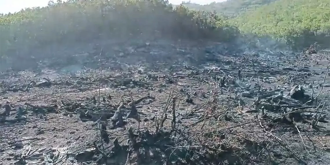 Siirt'teki orman yangını 15 saatte kontrol altına alındı