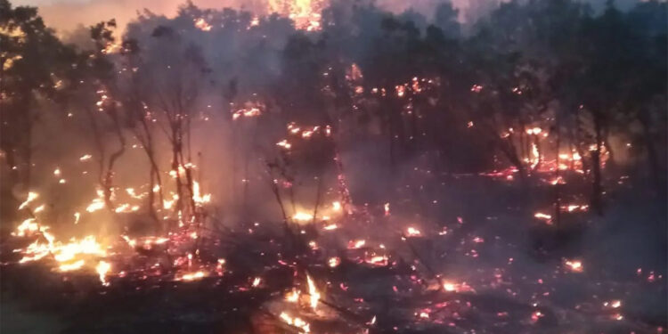 Siirt'teki orman yangını 15 saatte kontrol altına alındı