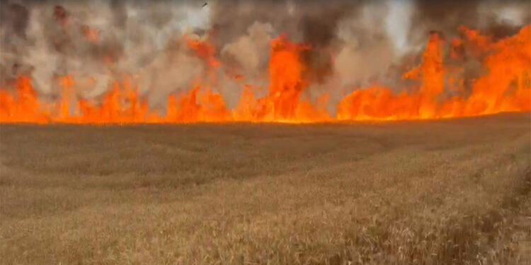 Çıkan yangınlar büyük zarara yol açtı