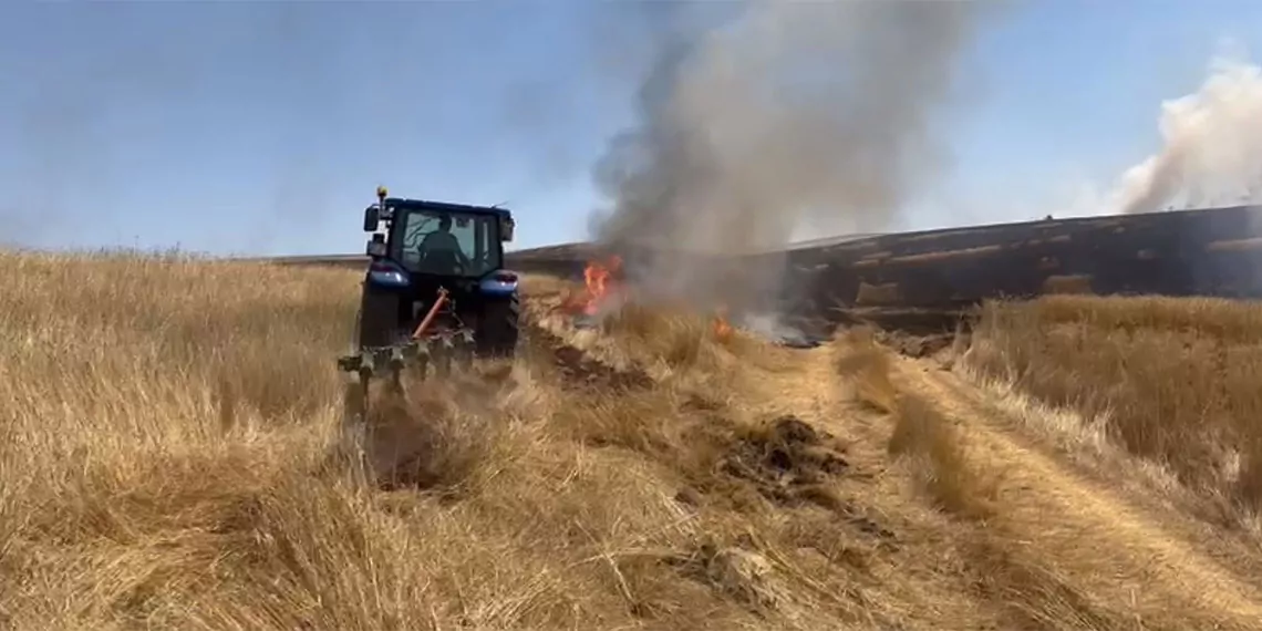 Sivas'ta son günlerde hasat dönemi yaklaşan ekili arazilerde çıkan yangınlar büyük zarara yol açtı. İl genelinde 3 bin dönüme yakın arazide etkili olan yangınlarda yaklaşık 1100 ton buğday kül oldu, yaklaşık 10 milyon tl zarar oluştu.