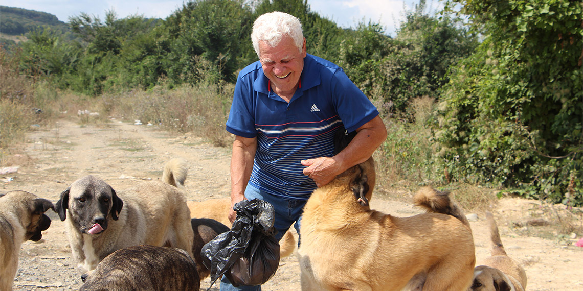 Sokak köpeklerini besledikleri sırada darbedildiler