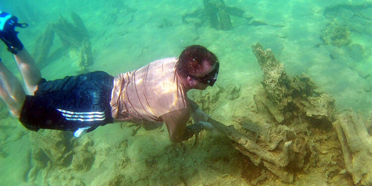 Van Gölü'nde kayı tamgalı ve haç işaretli taşlar bulundu