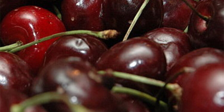 Vişnenin faydaları saymakla bitmiyor
