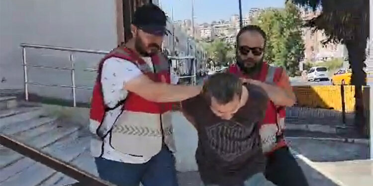 Sokak kedilerinin üzerine kezzap atan şüphelinin cezası kesildi