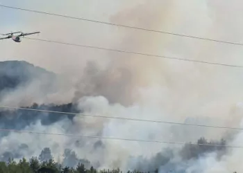 3 kişinin öldüğü menderes'teki yangının bilançosu netleşti