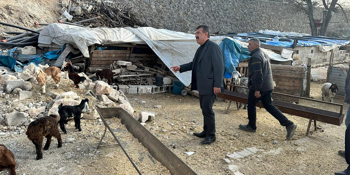 Deprem bölgesine küçükbaş hayvan dağıtımı tamamlandı