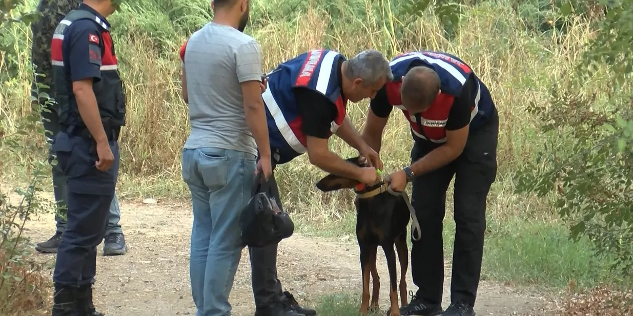 Ac birakilip gps takilan tina her defasinda eve dondue - öne çıkan - haberton