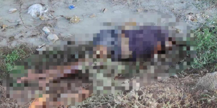 Adana'da dere kenarında kadın cesedi bulundu