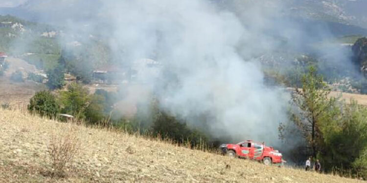 Adana'da iki mahallede orman yangını