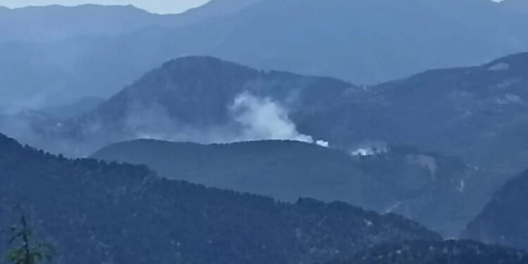 Adana'da ormanda yangın çıktı