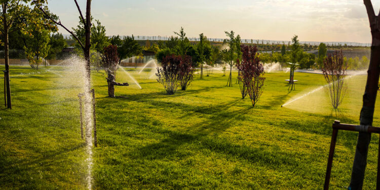 Ankara'ya dev Tarım Kampüsü ve Rekreasyon Alanı