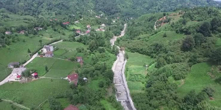 Artvin'de sahibini ısıran köpek kuduz çıktı; 3 köye karantina