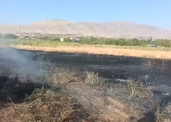 Bahçesindeki otları yakmak isterken yangına sebep oldu