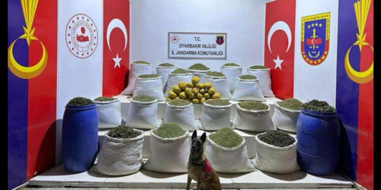 Bakan Yerlikaya: 10 ilde 265 zehir taciri yakalandı