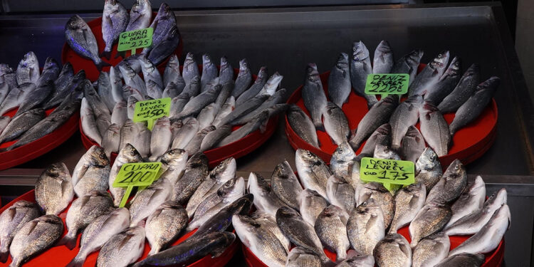 Balık avı başladı, istavritin fiyatı yarıya düştü